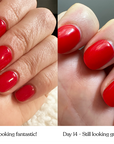 Missmani 4 Bundle - with FREE Shipping*