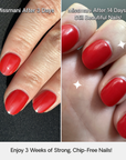 Not or never - Transparent  UV Gel Strips